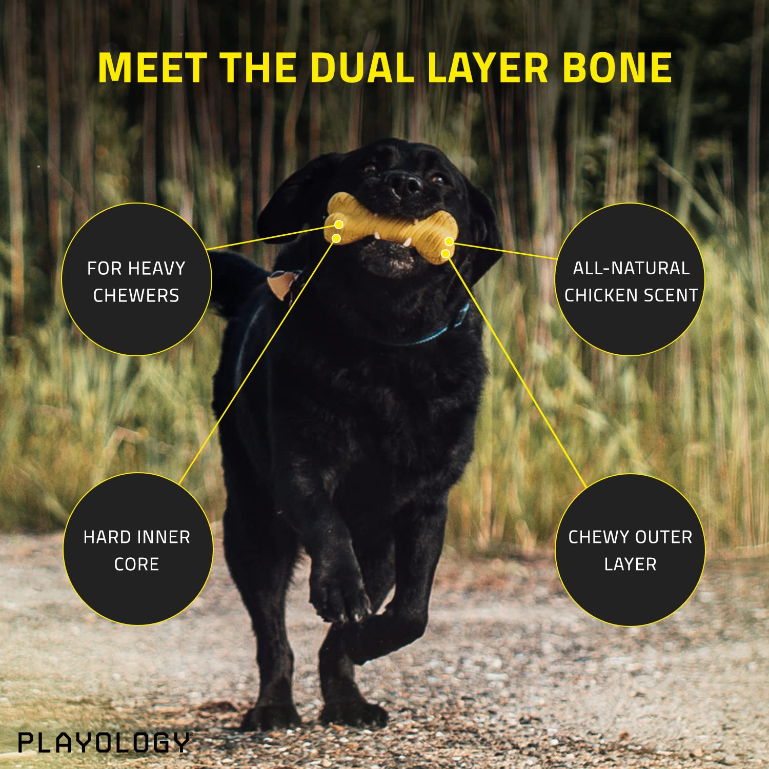 Playology Dual Layer Bone Dog Toy, for Large Dogs (35lbs and Up) - for Heavy Chewers - Engaging All-Natural Chicken Scented Toy